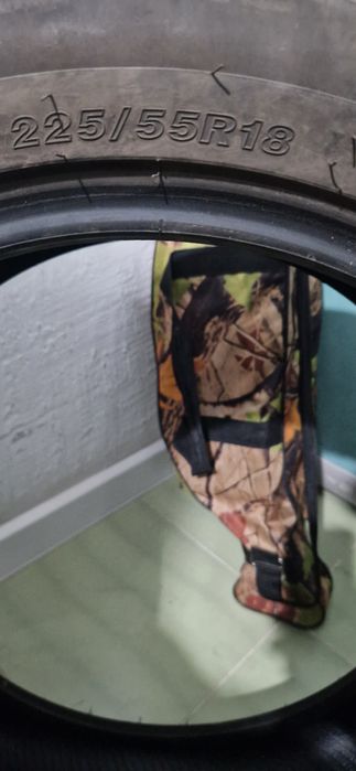 Летний балон 225/55R18