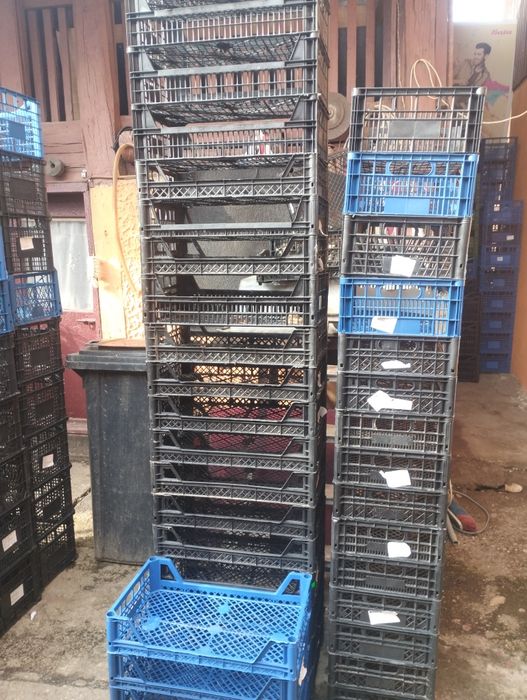 Lădițe plastic folosite