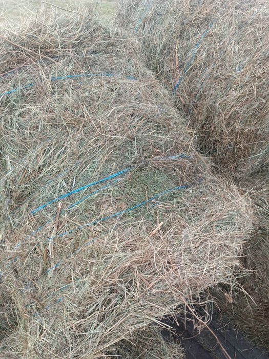 Продам сено, разнотравье.