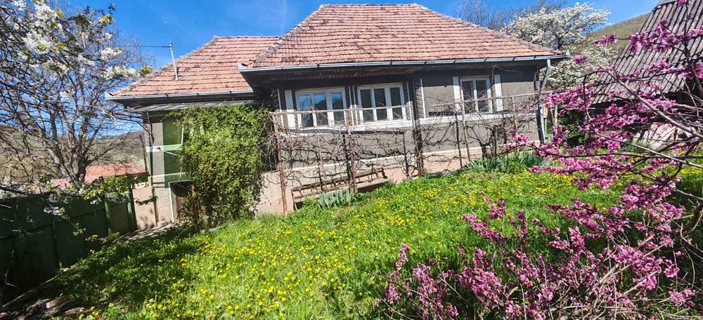 Casa si teren intravilan 3426mp la Poiana Galdei