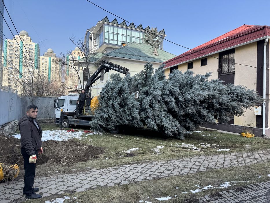 Услуги Манипулятора Грузоперевозки