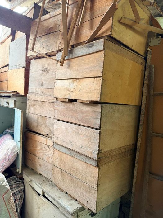Продам ящики 50.000 сум