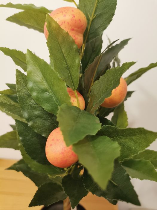 Planta/ copacel decorativ in Ghiveci