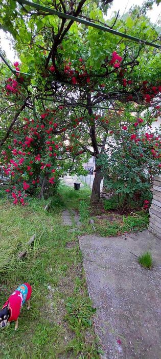 Продава се Къща в Асеновград - 74 кв.м за 827 €/кв.м - Снимка #4