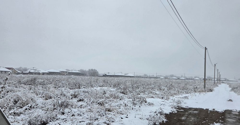 Туздыбастау ЛПХ 377 + 86 соток