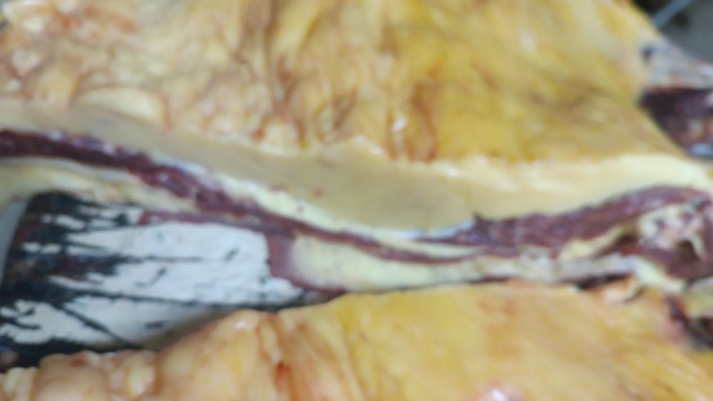 конины даставка бесплатно