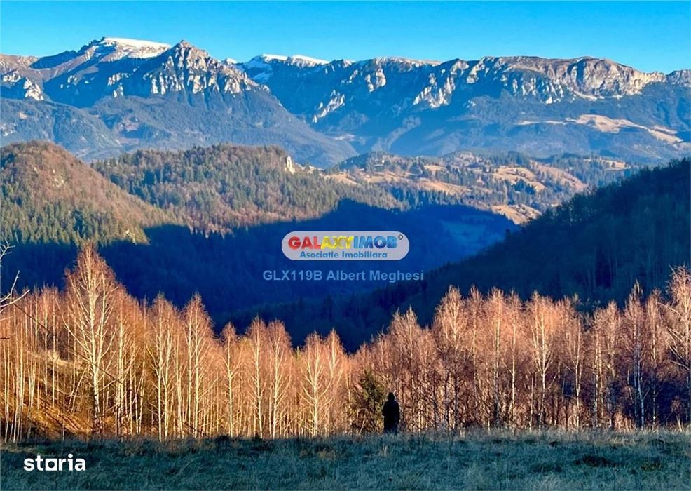 Vanzare teren intravilan  10818 mp , 47 ml la DN 73 Moieciu de Jos