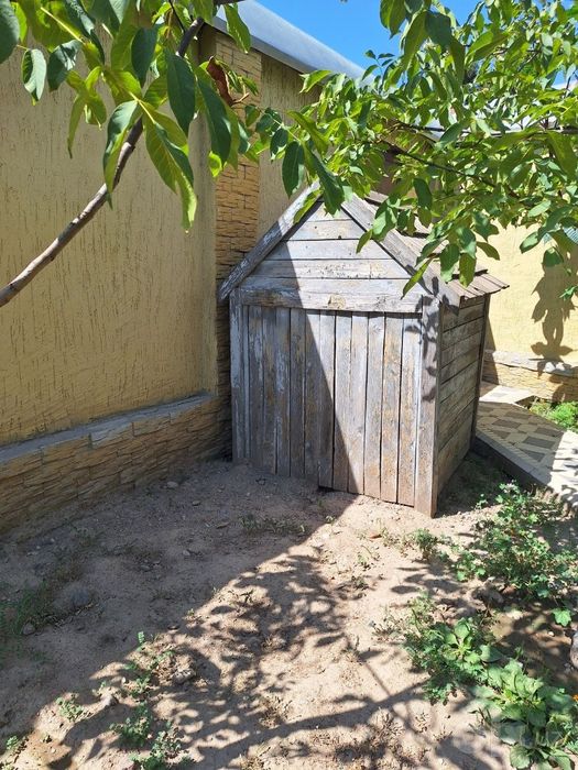 Продаётся Алабай