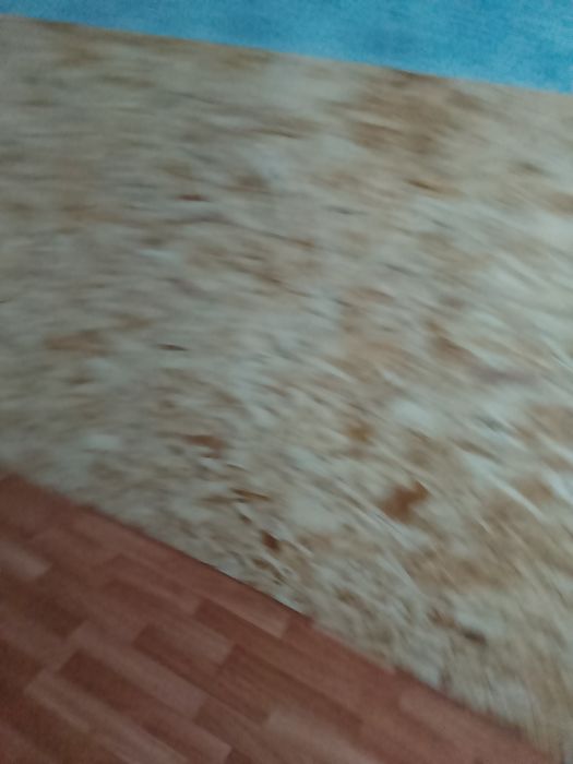 Продам дерево новое