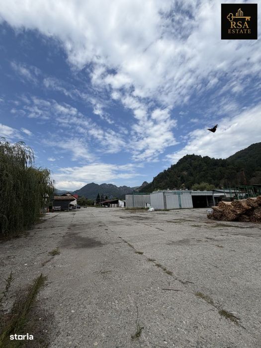 Proprietate Industrială / Comercială 25.951 Mp – Brezoi, Valcea