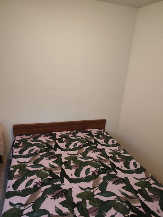 Стая под наем,самостоятелна стая