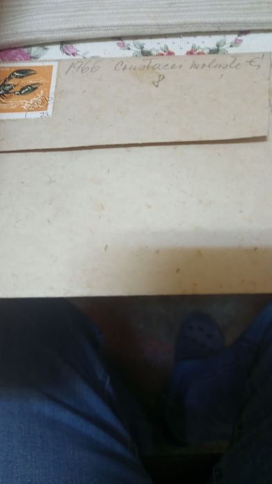 Vând colecție de timbre