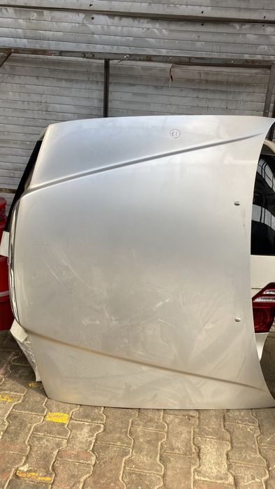 Ноускат Марк