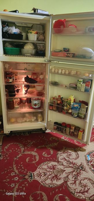 Продаю халоденик