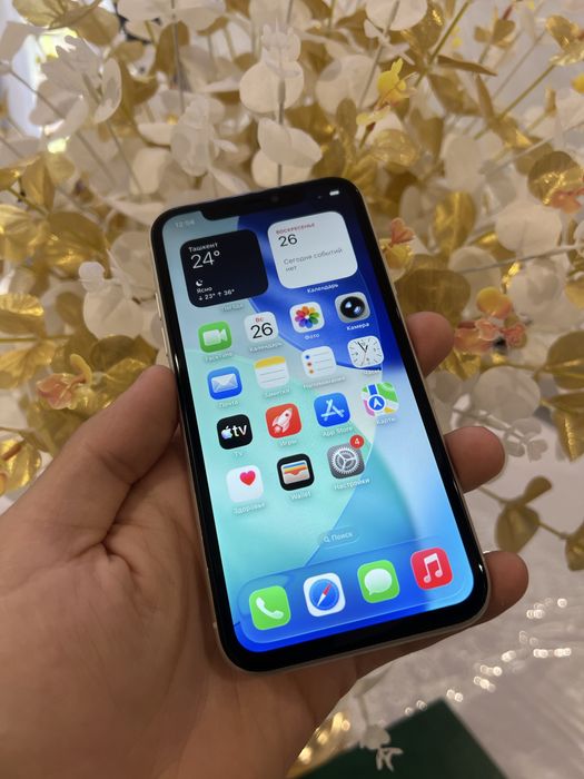 Iphone 11          .