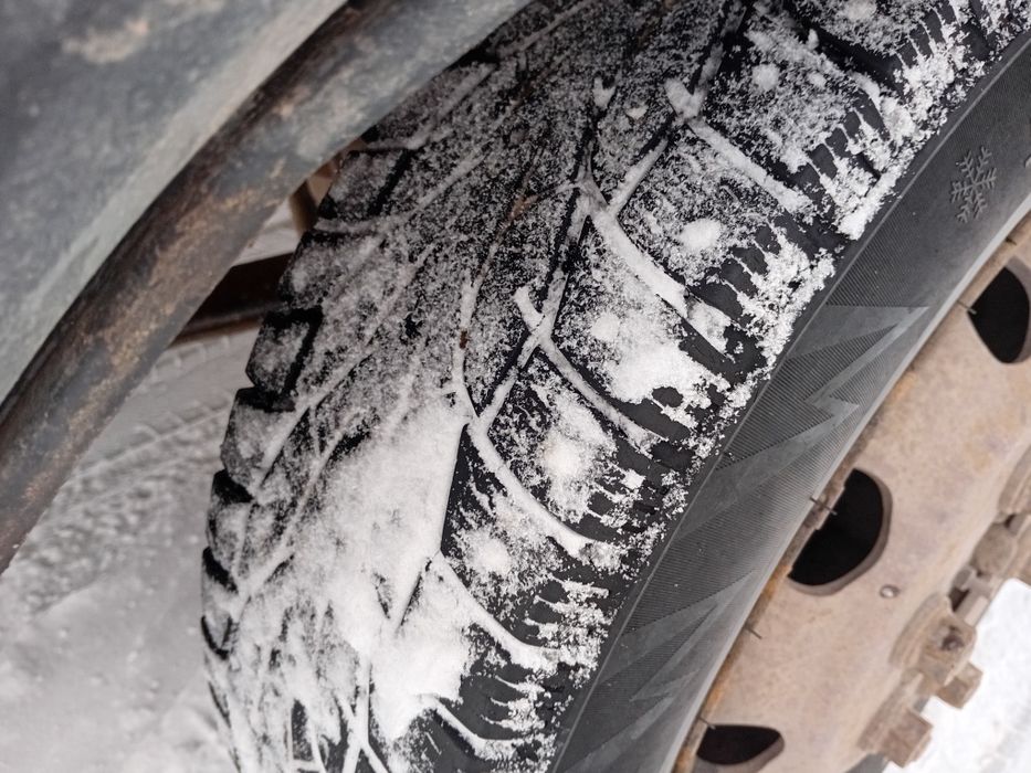 Продаю газель фермер