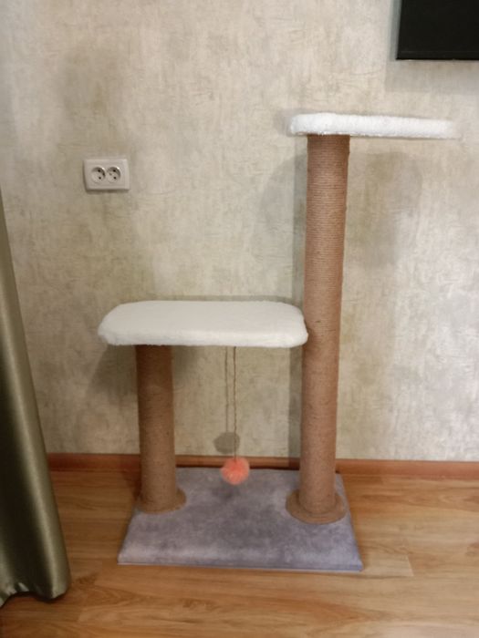 Когтиточку  для кошек