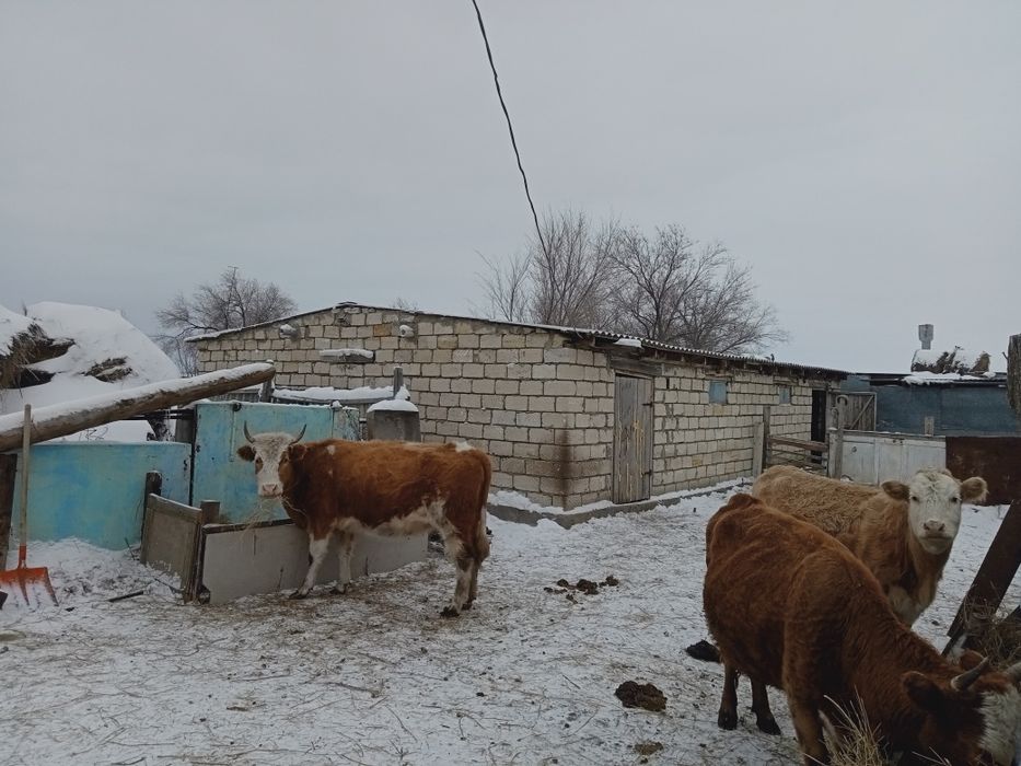 Аудан орталығынан үй сатылады