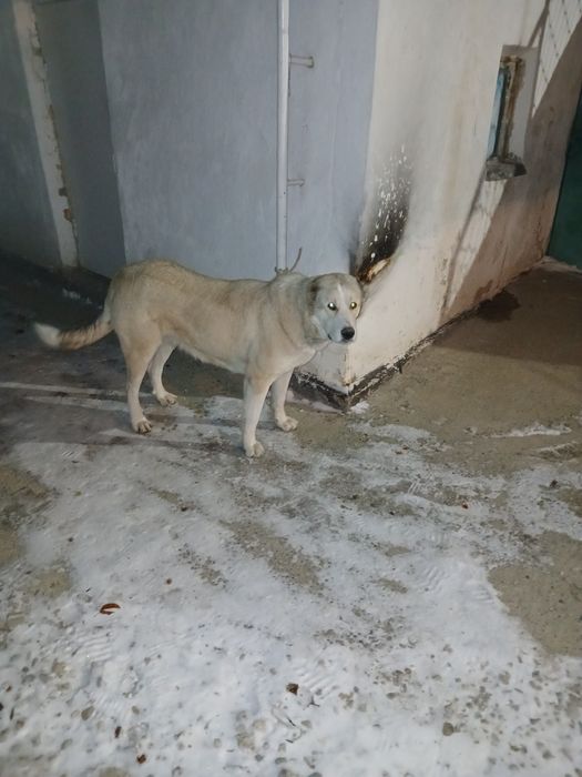 Срочно продам цена 45 000