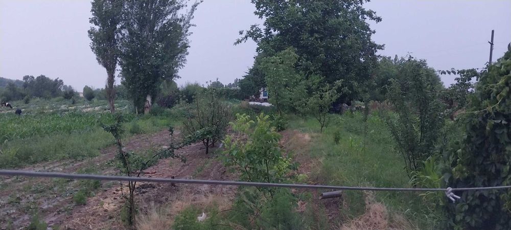 24 sotik quruq yer sotiladi