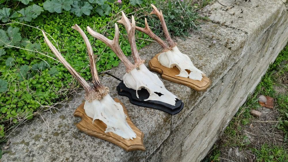 Декор, украса, сувенир