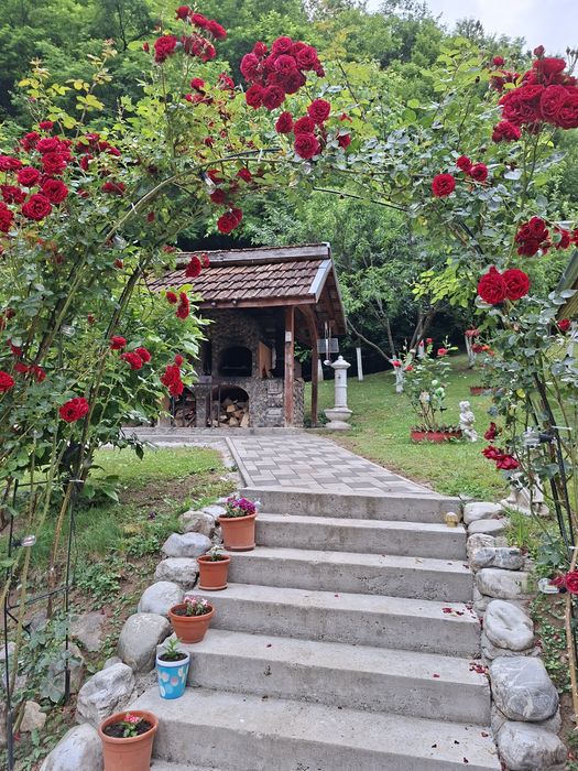 Cabana Daria -natură și relaxare