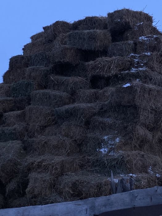 Сенооо тюковоййй