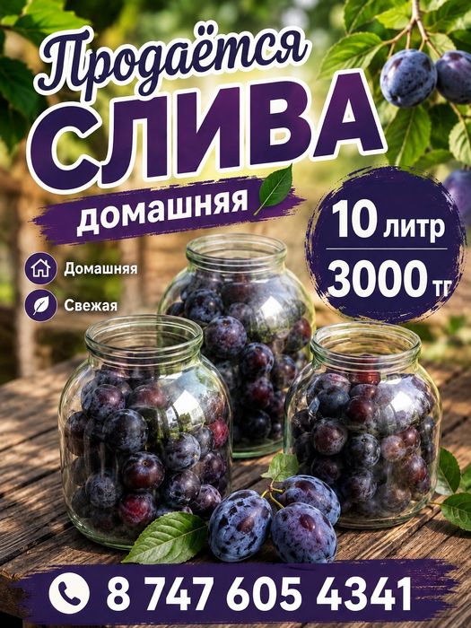 Домашний слива сатылады