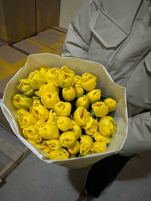 Тюльпаны В НАЛИЧИИ оптом Усть-Каменогорск