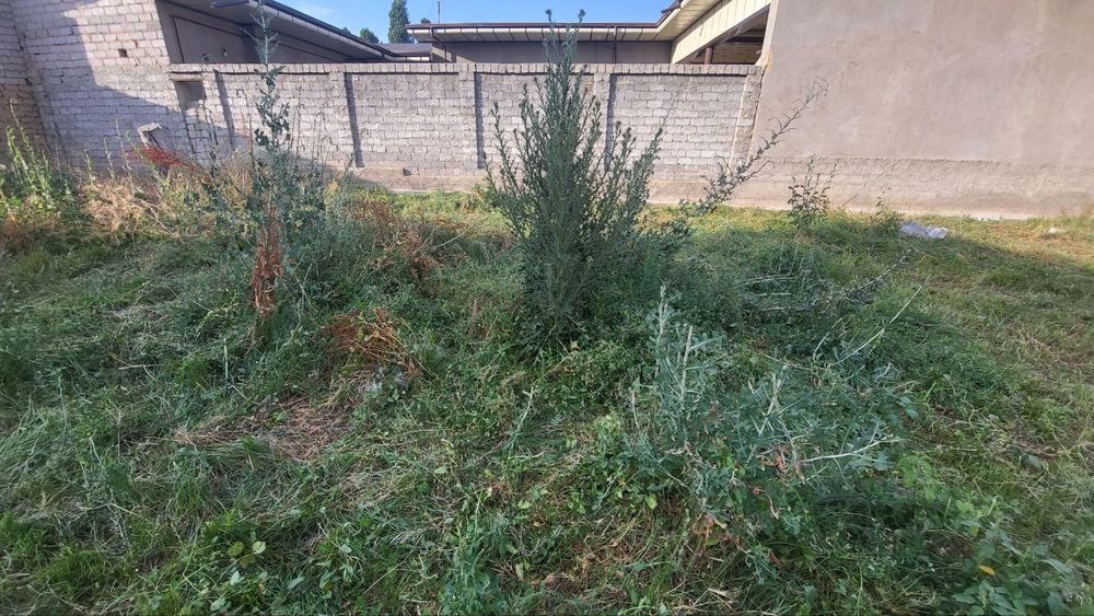 Yer sotiladi srochno kelishtirib bervoramiz