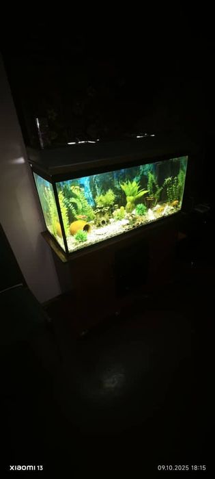 Аквариум комплект 200 литров