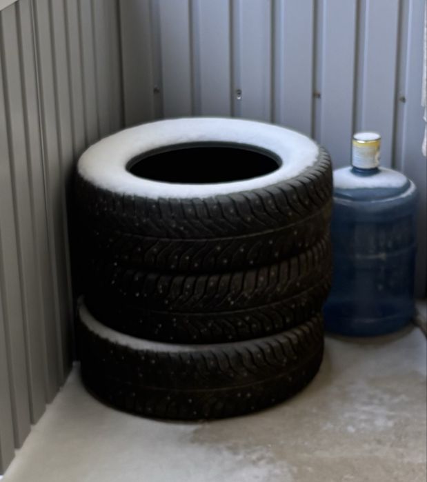 Шины Зимние бууу