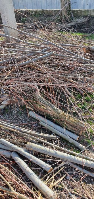 Дрова, Отын, Бесплатно, Тегин