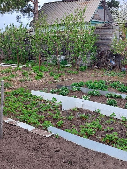 Продам дачу 1 общество