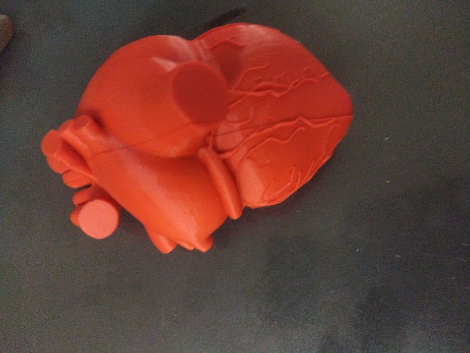 Сердце из пластика напечатаное на 3д приниере