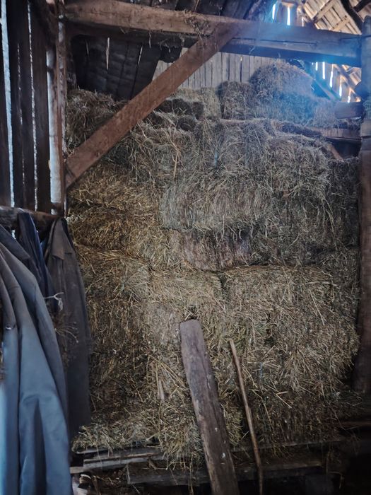 Vând baloți lucernă, otavă și fân