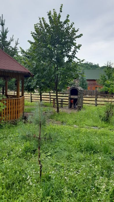 Cabana lemn lângă râu, sat Costeşti