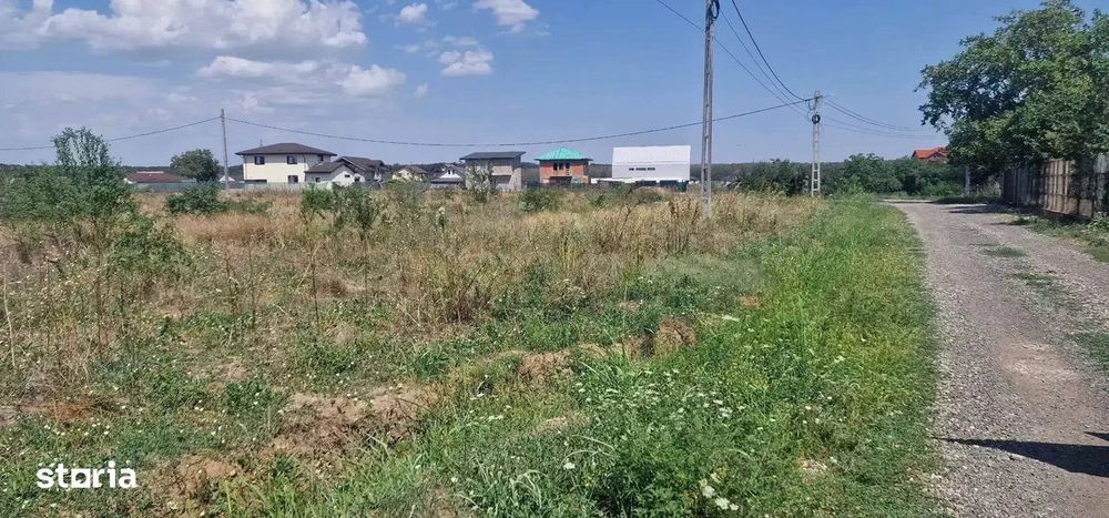 Teren de vânzare in Branesti 1543 mp lângă Pădure  Toate utilitățile