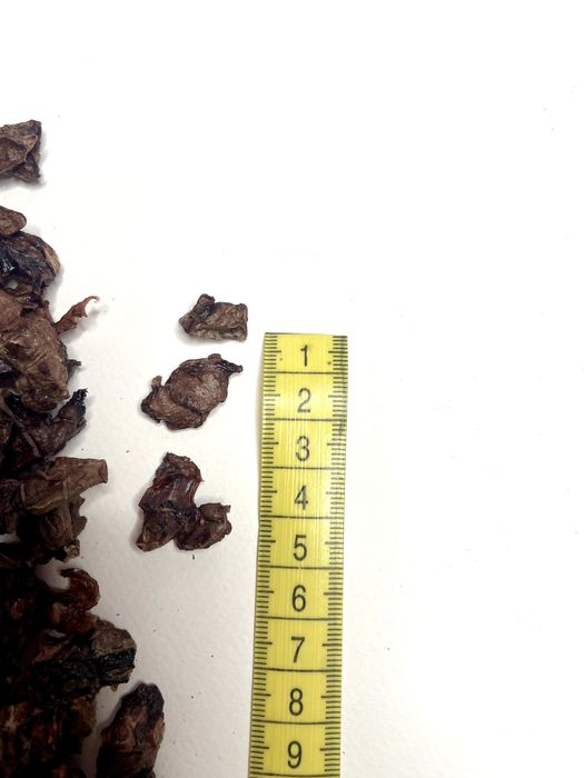 Сушеное легкое для тренировок