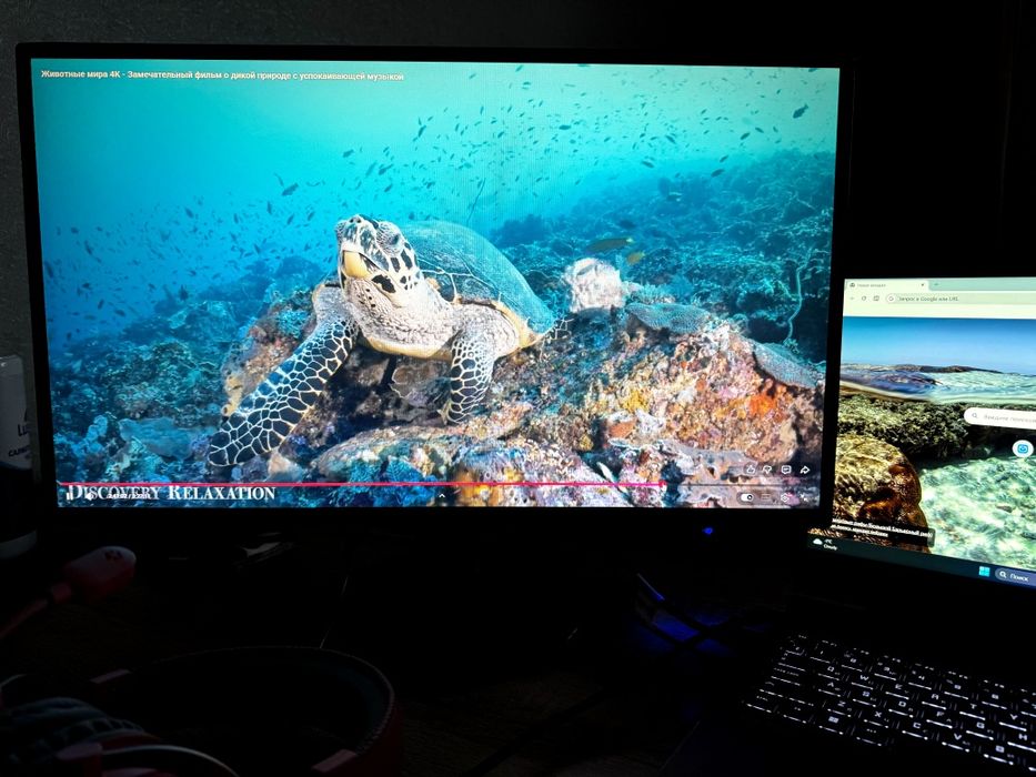 Монитор HP 24y в отличном состоянии