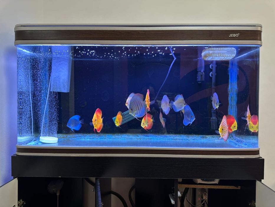 Аквариум + тумбочка