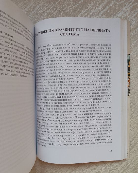 Основи на неврологията