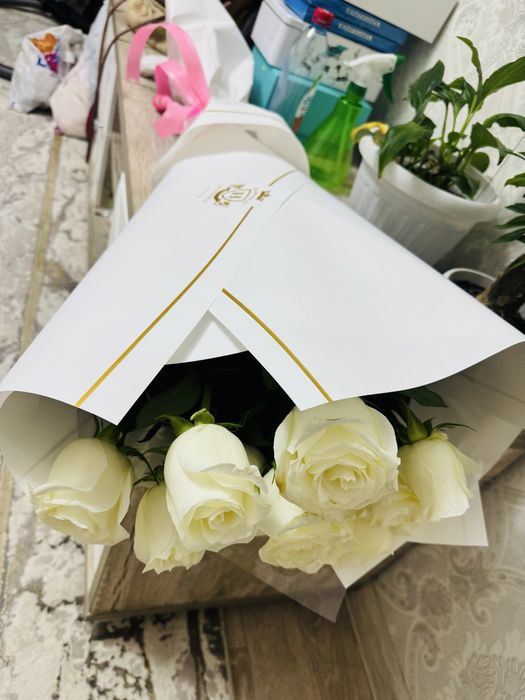 голландский роза