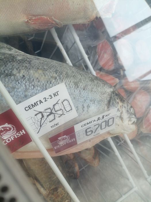 Продам икру сёмгу 2-3 и 6-7