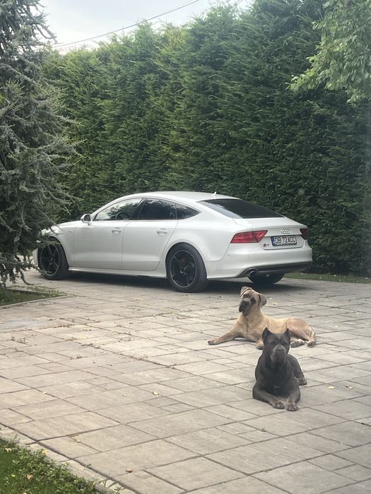 Jante MOMO originale 19” + anvelope Hankook – stare impecabilă