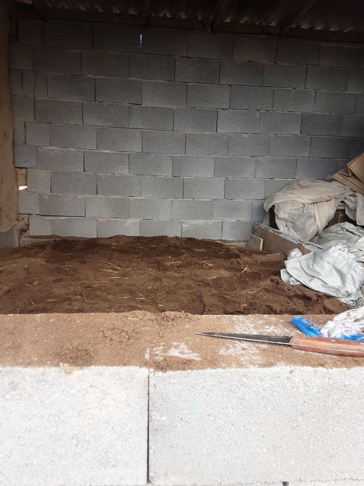 Биогумс 50 тенге литр