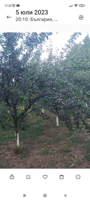 Продава се Къща в с. Асеновци, Област Плевен - 60 кв.м за 192 €/кв.м - Снимка #11