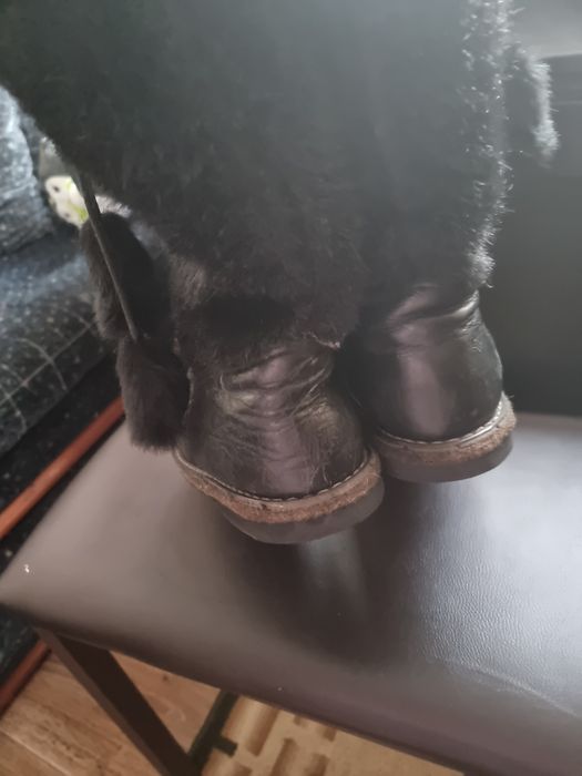 Продам зимние сапоги