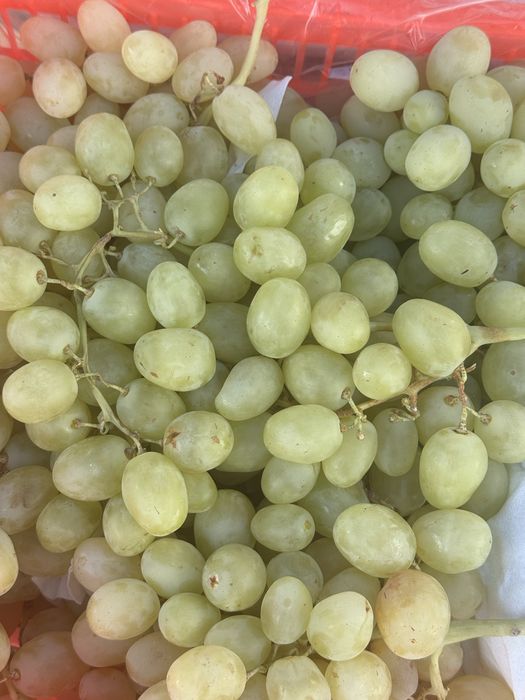 Оптом продажа виноград