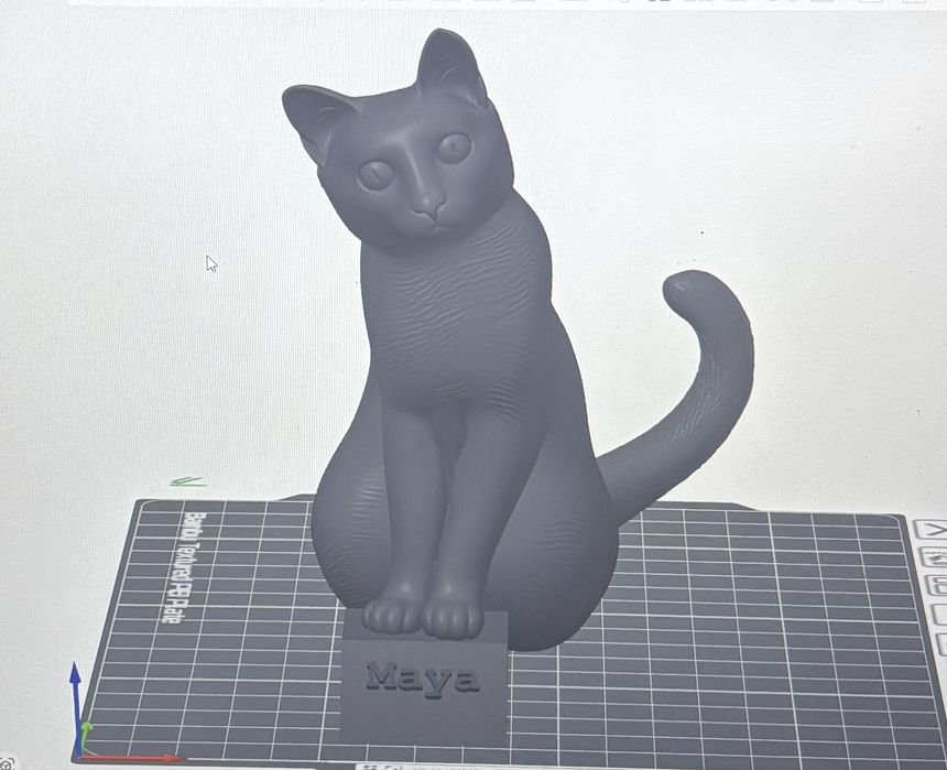 Printare si Modelare 3D